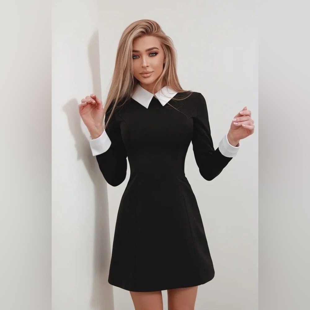 NWT❤️ Zara dress Peter Pan collar sz s
